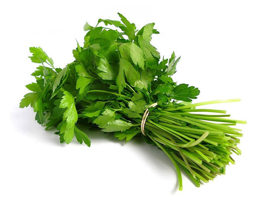 Fresh Coriander Leaves Per Stuck